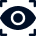 Vision